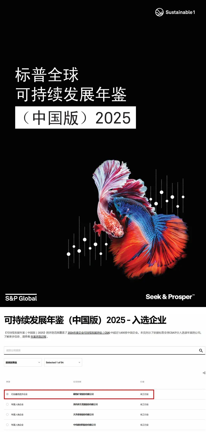 藏格矿业荣登CSA“最佳进步企业”榜单，入选可持续发展年鉴2025
